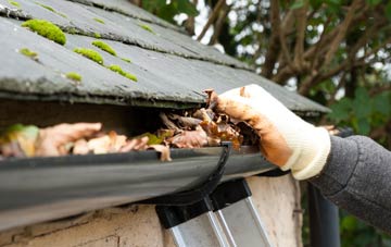 gutter cleaning Fawley