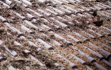 Fawley roof cleaning companies