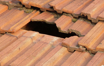 roof repair Fawley